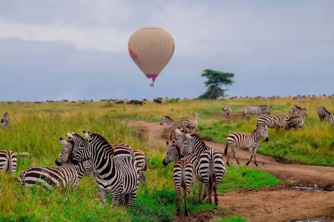 Hot Air Ballon and Bushmen - Featured Image