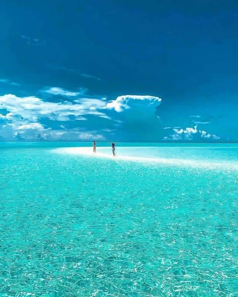 ETERNAL LOVE💕 : ROMANTIC ADVENTURES ON ZANZIBAR,S SHORES WITH UJIJI ADVENTURE - Featured Image