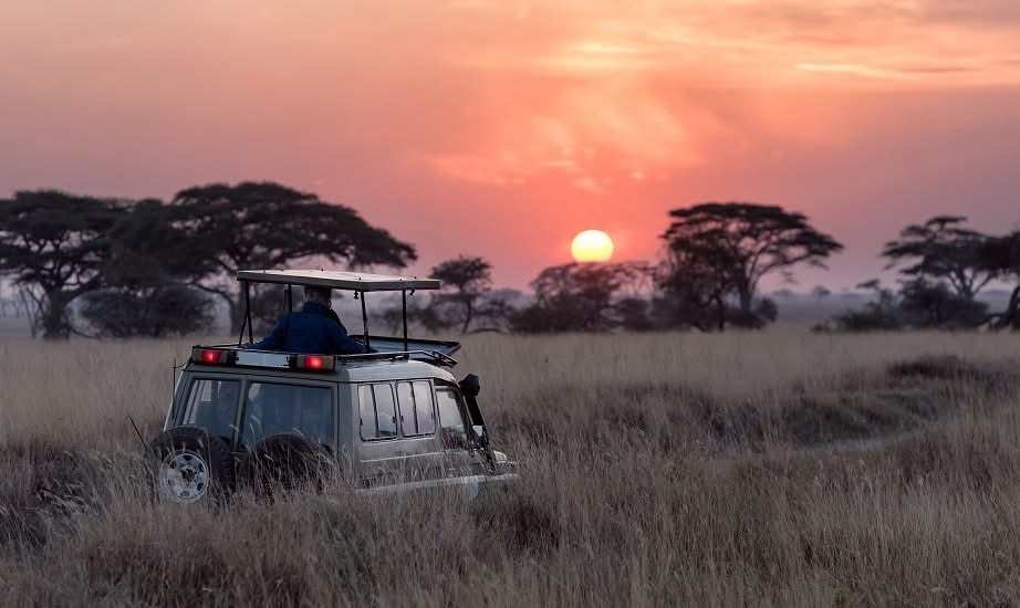 Tarangire, Lake Manyara, Serengeti and Ngorongoro Safari - Featured Image