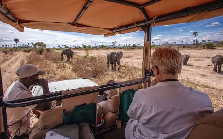 4 Days Ruaha National Park