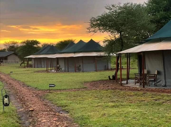 4 DAYS FLY IN ZANZIBAR TO SERENGETI