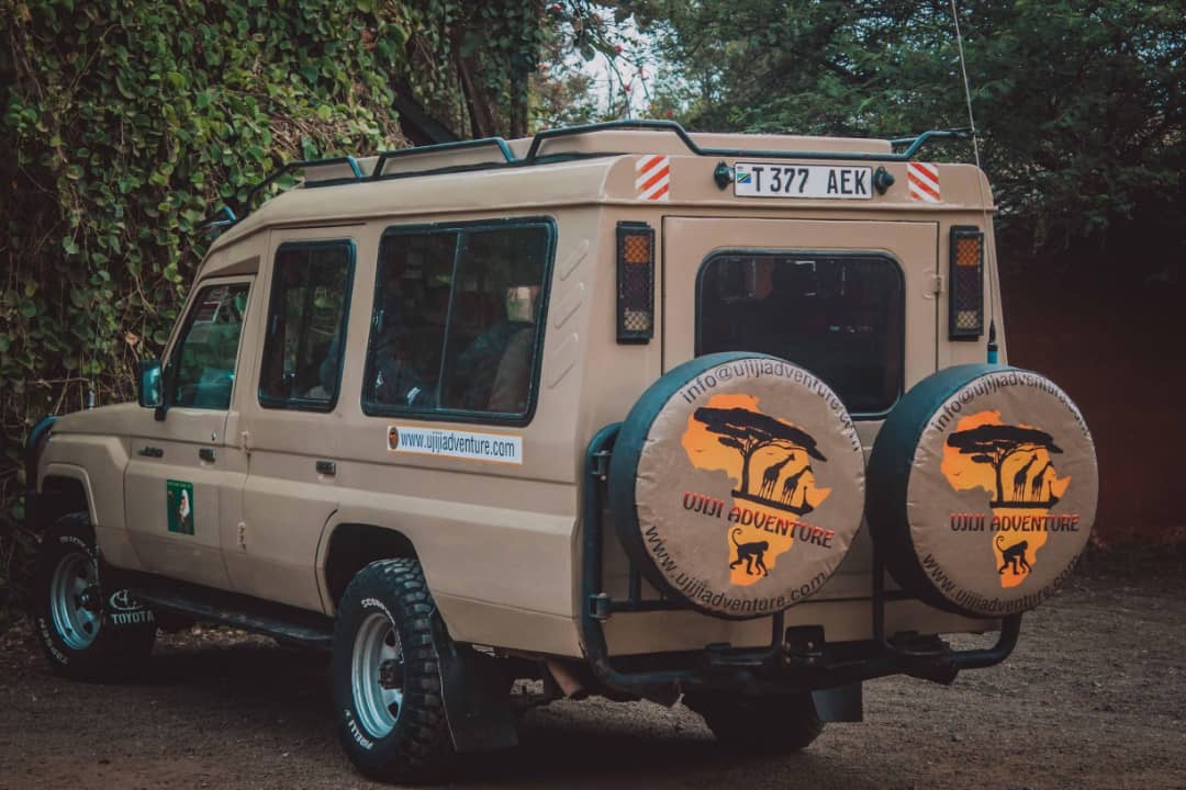 4 Days Mikumi and Saadani National Park Safari